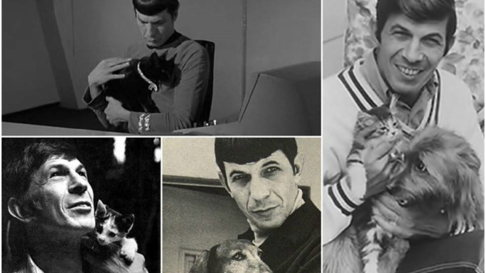 Pets of the Stars – Leonard Nimoy