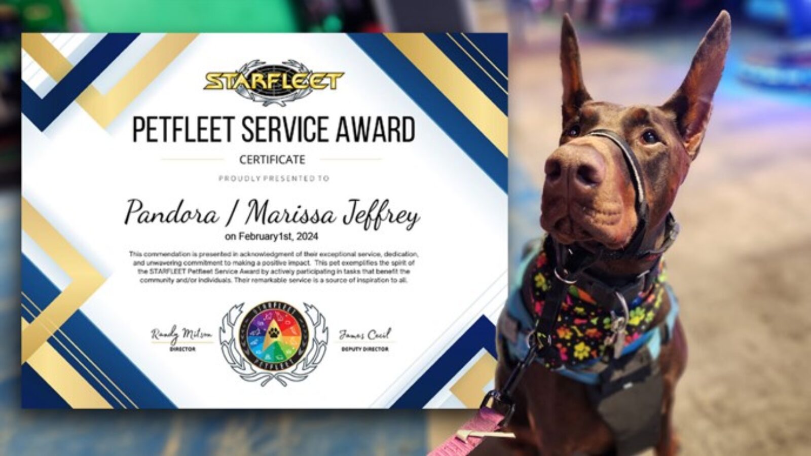 STARFLEET Petfleet Service Award – Pandora