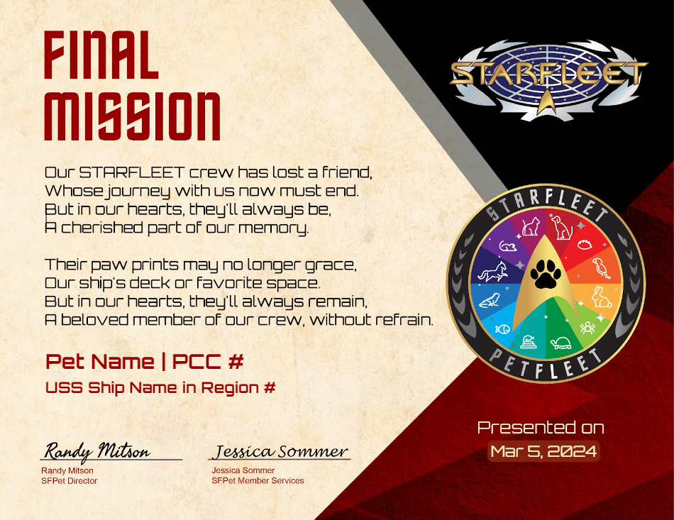 Final Mission Certificate Sample