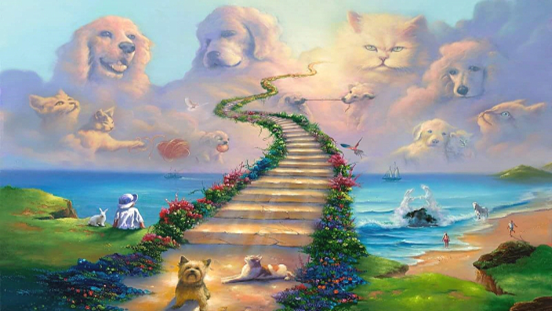 The Rainbow Bridge where pets go when they die. 