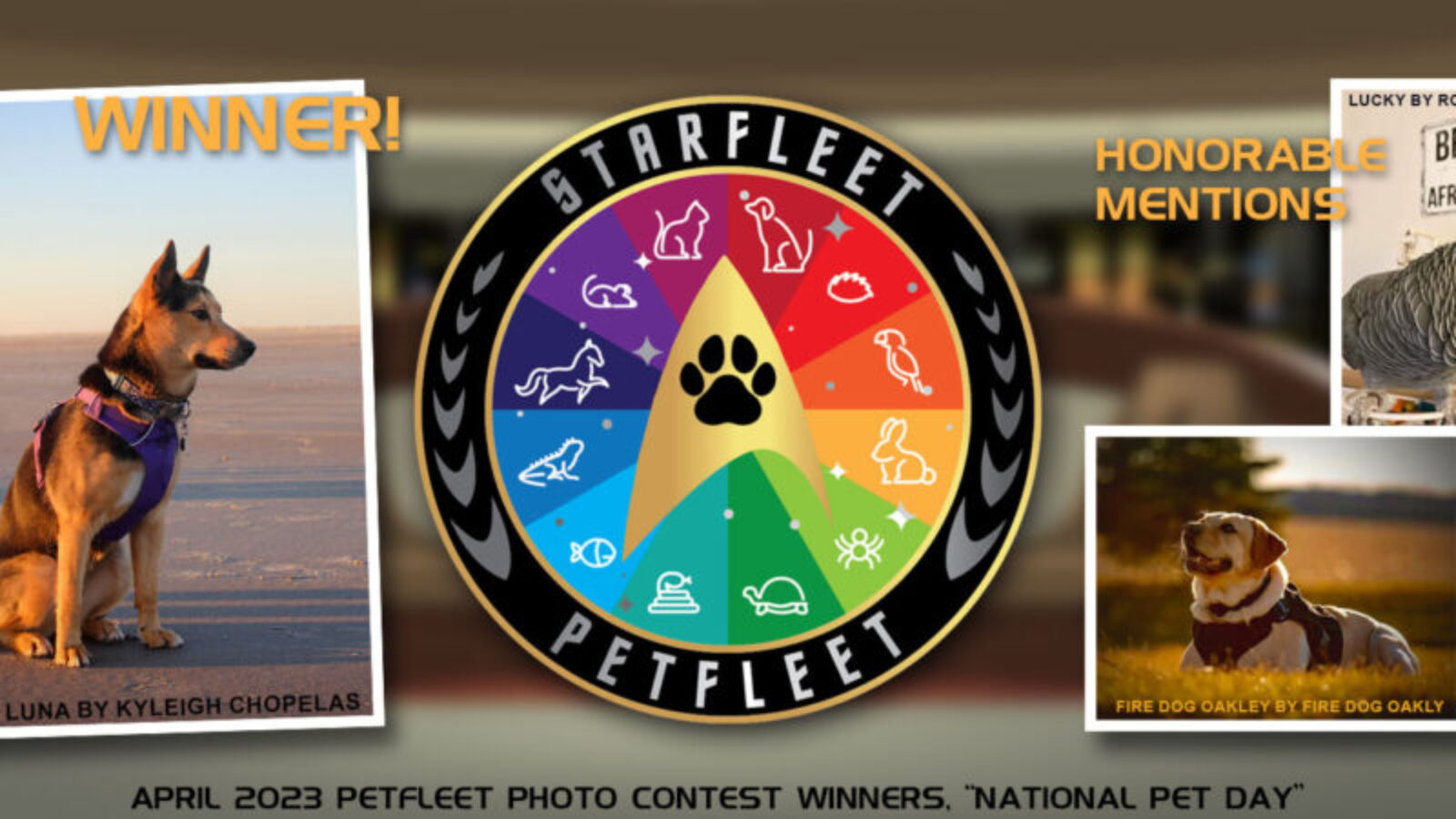 SFPet Photo Contest – August 2023