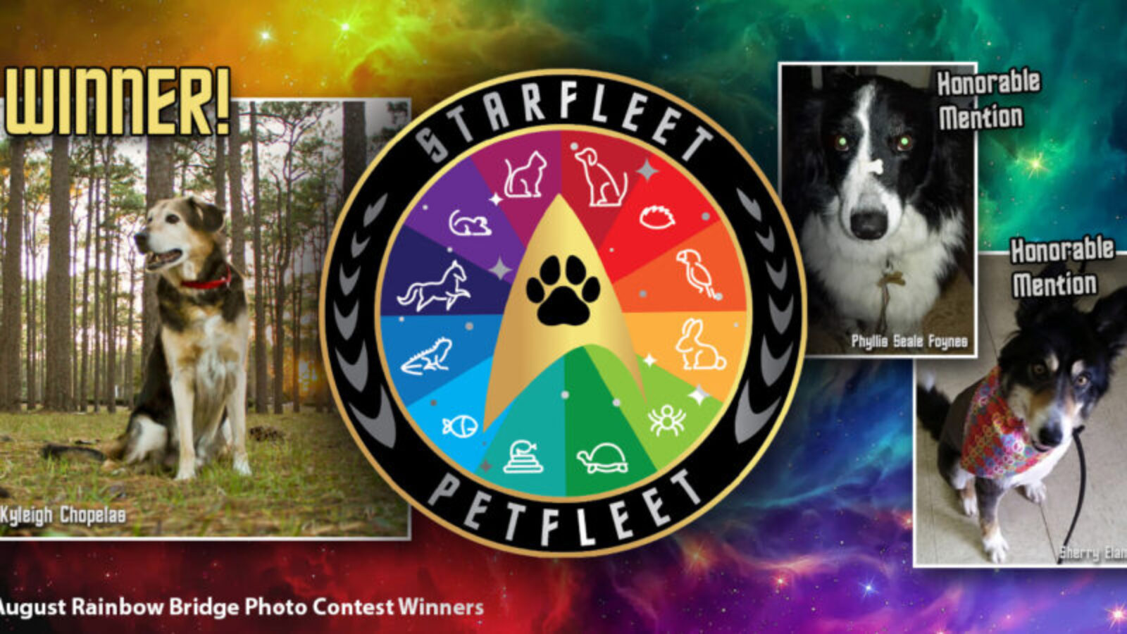 SFPet Photo Contest – November 2023