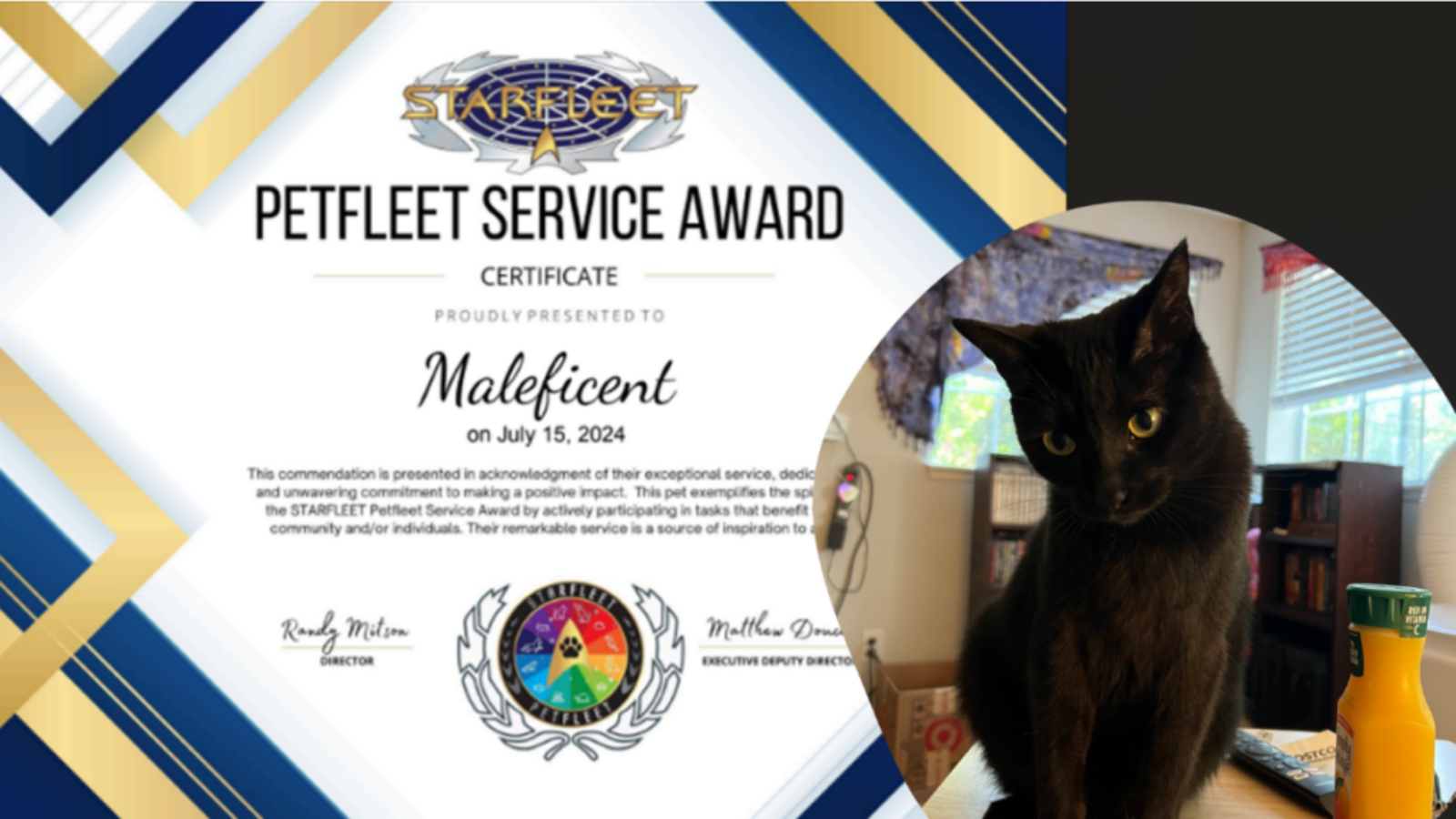 STARFLEET Petfleet Service Award – Maleficent