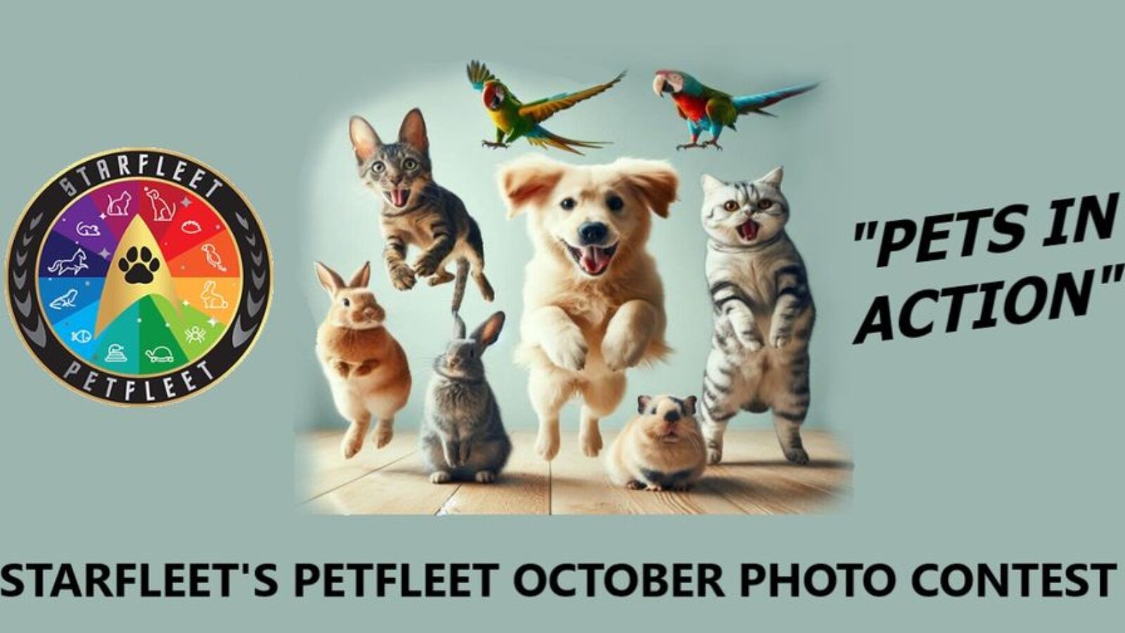 Pets in Action – Oct 2024 Photo Contest