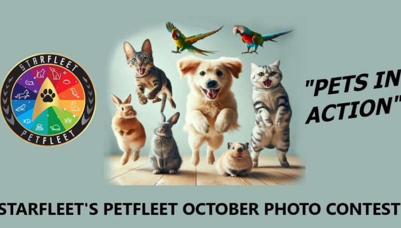 Pets in Action Photo Contest Oct 2024