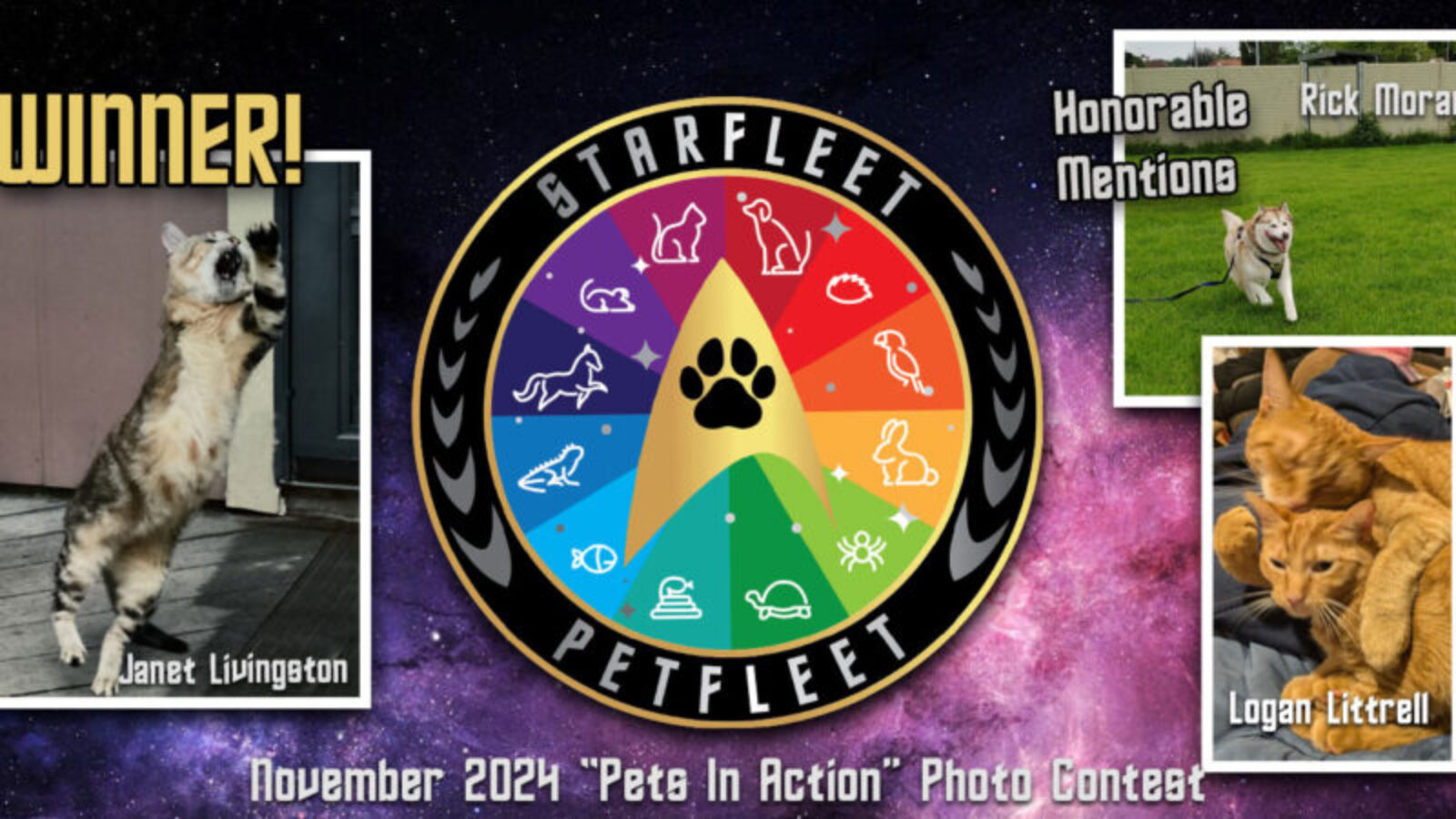 SFPet Photo Contest – Nov 2024