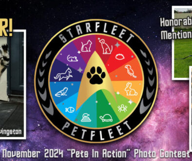 Petfleet-Facebook-Cover-2024-Nov-Pets-In-Action