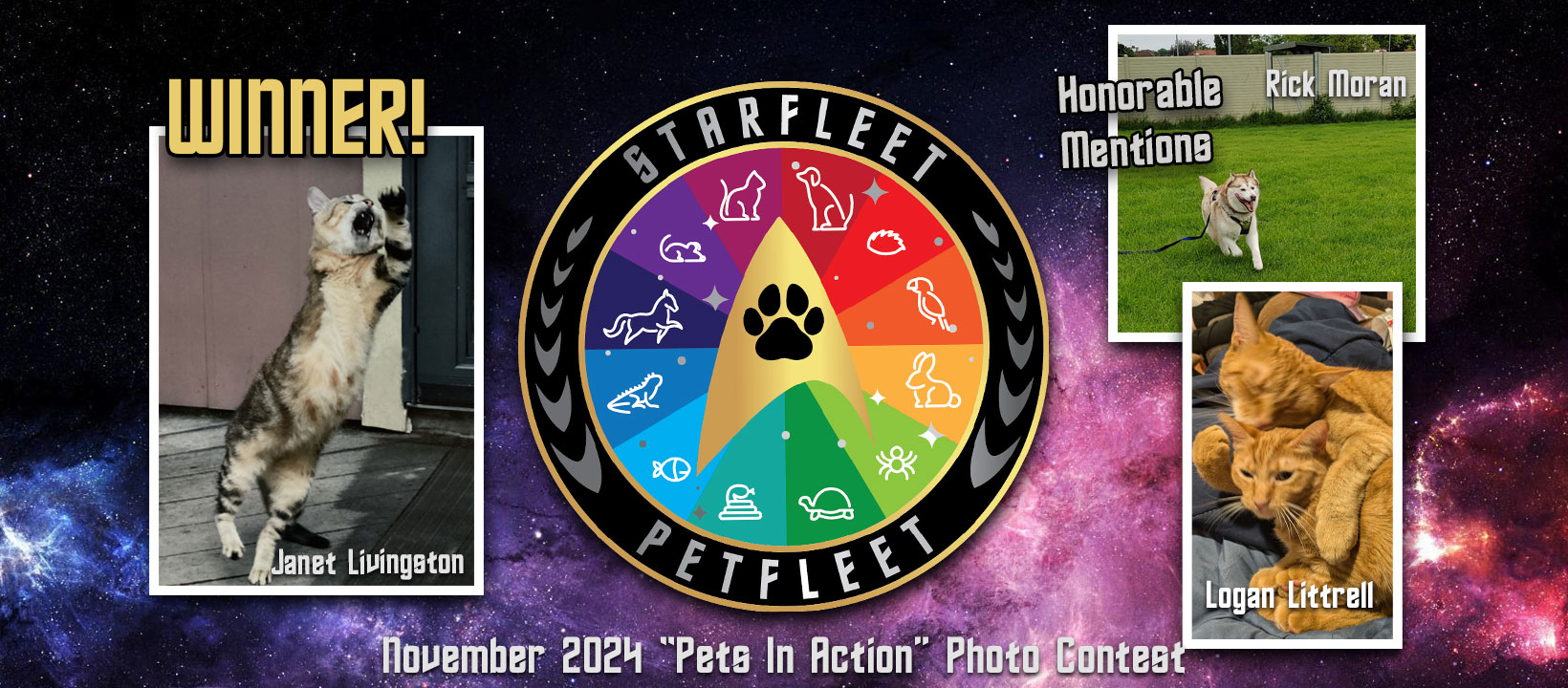 Petfleet-Facebook-Cover-2024-Nov-Pets-In-Action