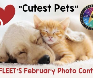 Cutest Pets Photo Contest - Feb 2025