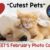 Cutest Pets Photo Contest - Feb 2025