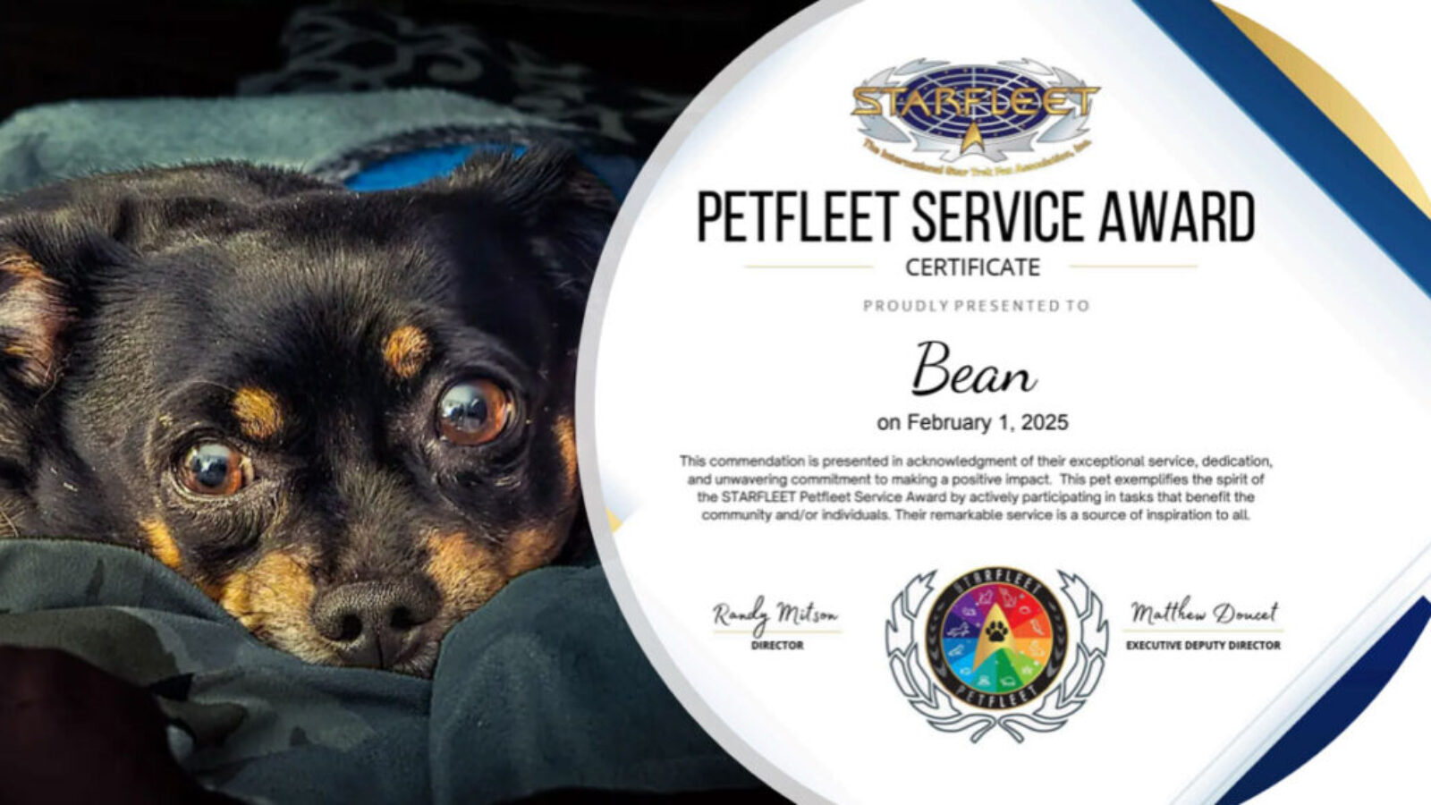 STARFLEET Petfleet Service Award – Bean