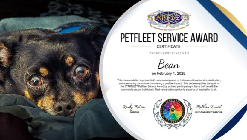 SFPet Service Award Bean Feb 2025