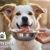 Raw-Food