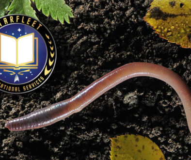 SFPet-Academy-Course-Challenge-IBW---Worms-Q1-2025