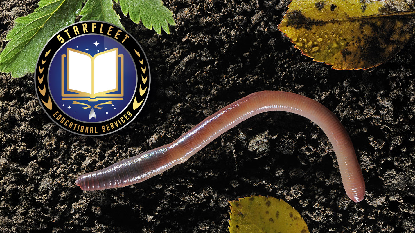 SFPet Academy Course Challenges – Worms - STARFLEET PetFleet