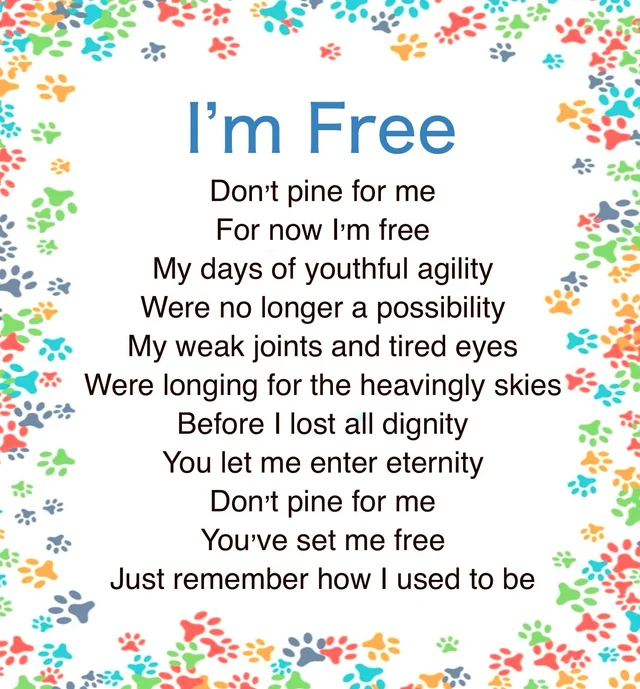image13 I'm Free Poem