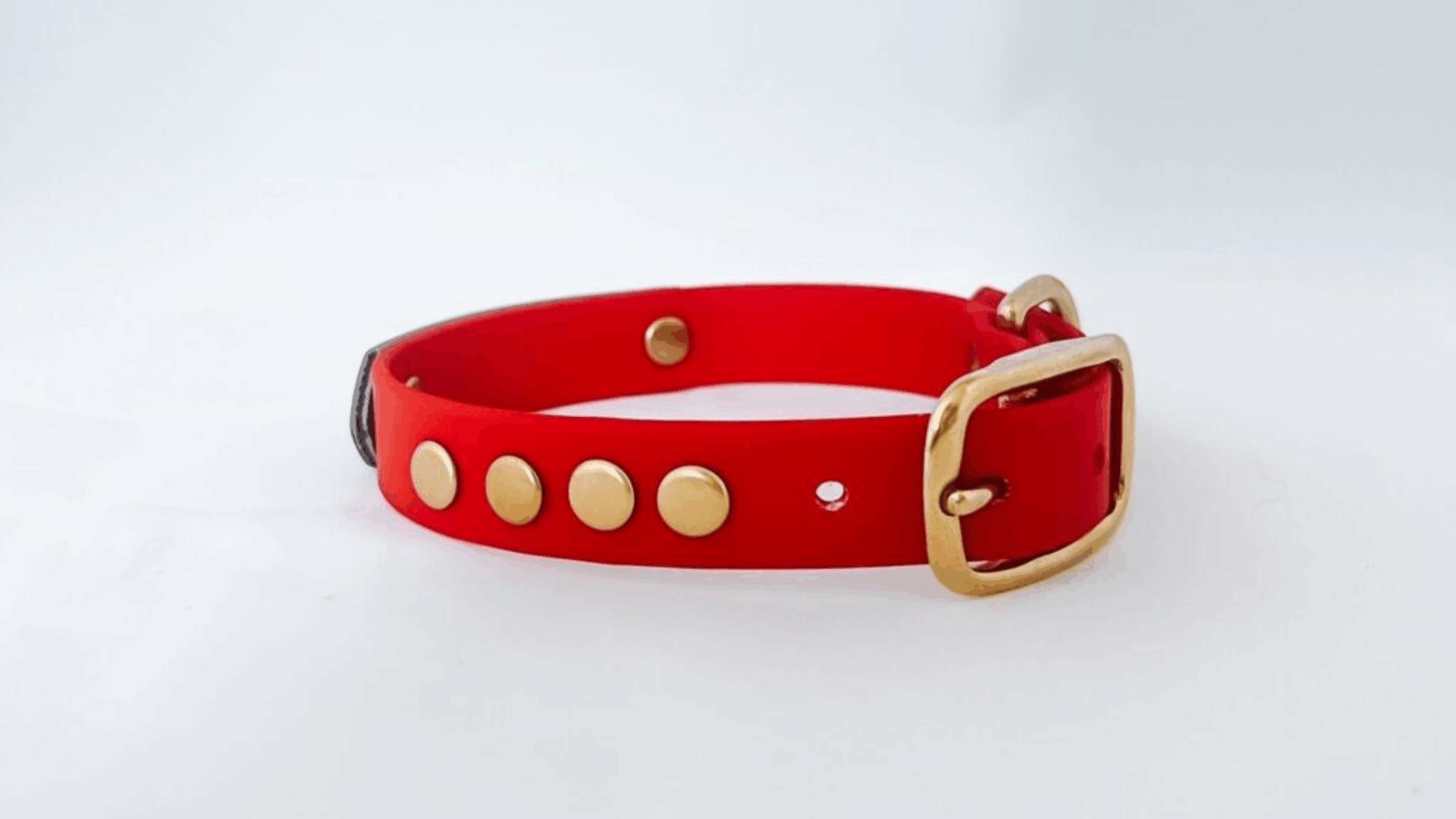 Petfleet-Collar-1024x576 Petfleet-Collar-1024x576