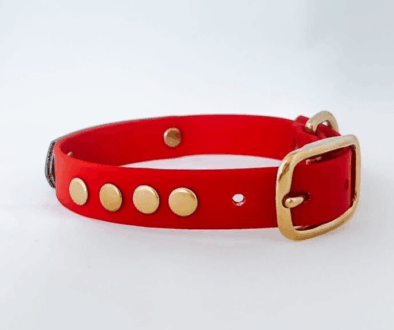 Petfleet-Collar-1024x576