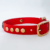 Petfleet-Collar-1024x576