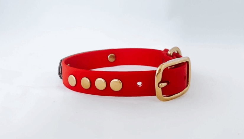 Petfleet-Collar-1024x576