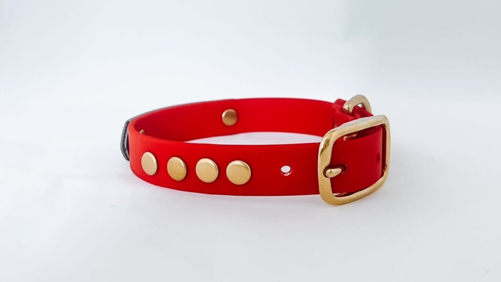 Petfleet-Collar-1024x576 Petfleet-Collar-1024x576