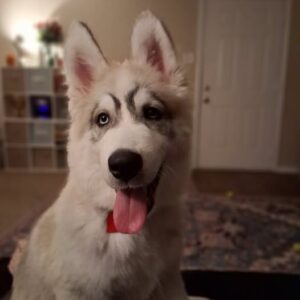 532548919_10161418804237341_7855190023084574786_n