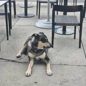 533227672_10160874229476511_4139793066855926424_n