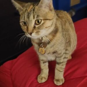 533857050_24236685439286230_1499634107612745260_n