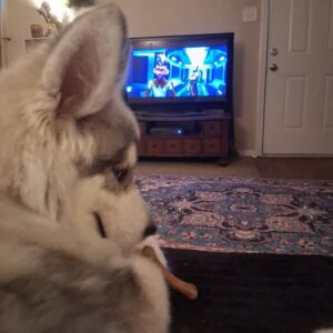 533940487_10161426244492341_7544288367700061851_n