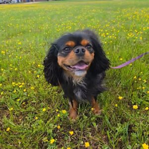 536267169_10234459531762881_540393851974219993_n