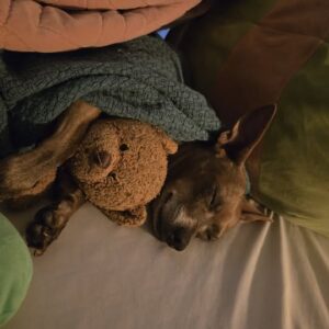 537147070_10163079817472485_491877052255941385_n