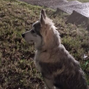 539173033_10161458757737341_375495222935773413_n