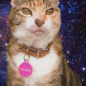 539784068_3070730699753044_5038038146821422060_n