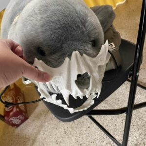 540703446_10163833103234095_6461953004349568576_n