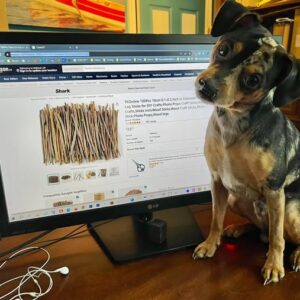 541501302_10163642374555350_4734543244929942682_n