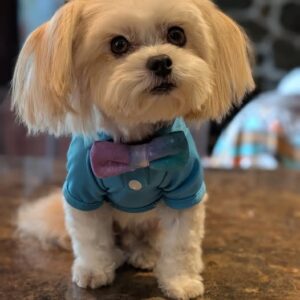 543200145_24593825756901244_1563533377387757346_n