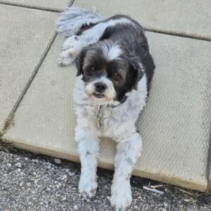 543472686_10172081316440431_2413868710869648416_n