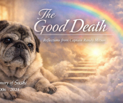 ChatGPT Image Feb 23, 2026, 04_07_58 PM