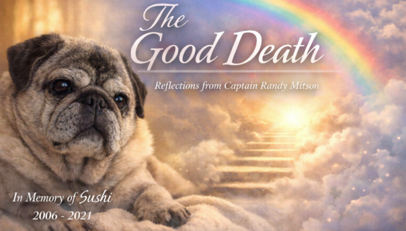 ChatGPT Image Feb 23, 2026, 04_07_58 PM