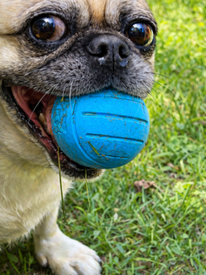 ChatGPT Image Feb 23, 2026, 04_32_18 PM ChatGPT Image Feb 23, 2026, 04_32_18 PM