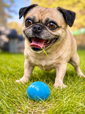 ChatGPT Image Feb 23, 2026, 04_32_23 PM ChatGPT Image Feb 23, 2026, 04_32_23 PM